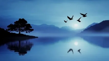 ALBA SUL LAGO | Carta da parati paesaggio - Col.648
